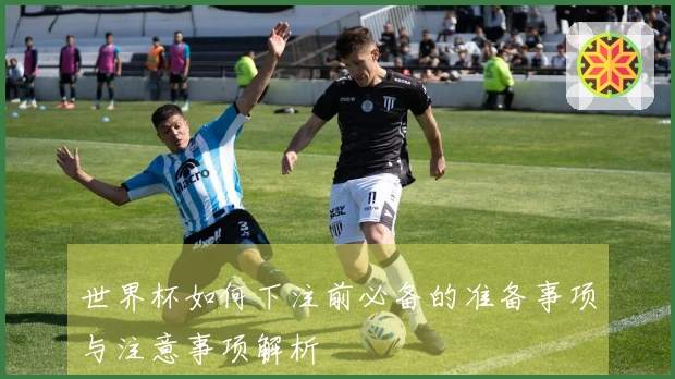 世界杯如何下注前必备的准备事项与注意事项解析