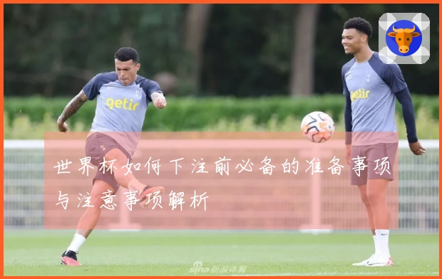 世界杯如何下注前必备的准备事项与注意事项解析