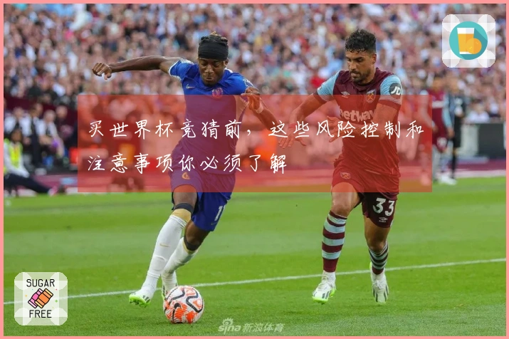买世界杯竞猜前，这些风险控制和注意事项你必须了解